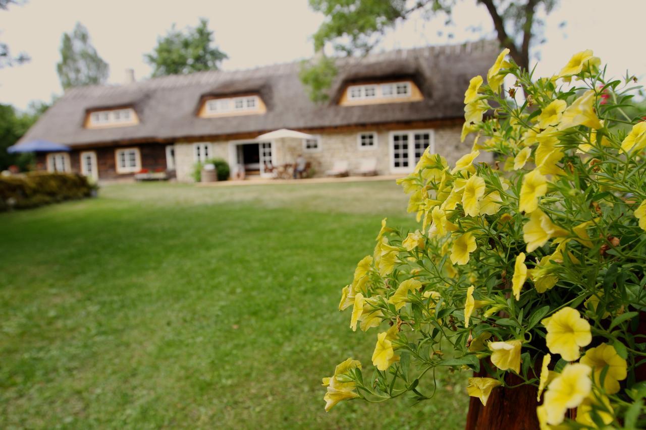 Metsara B & B Tornimae Exterior foto